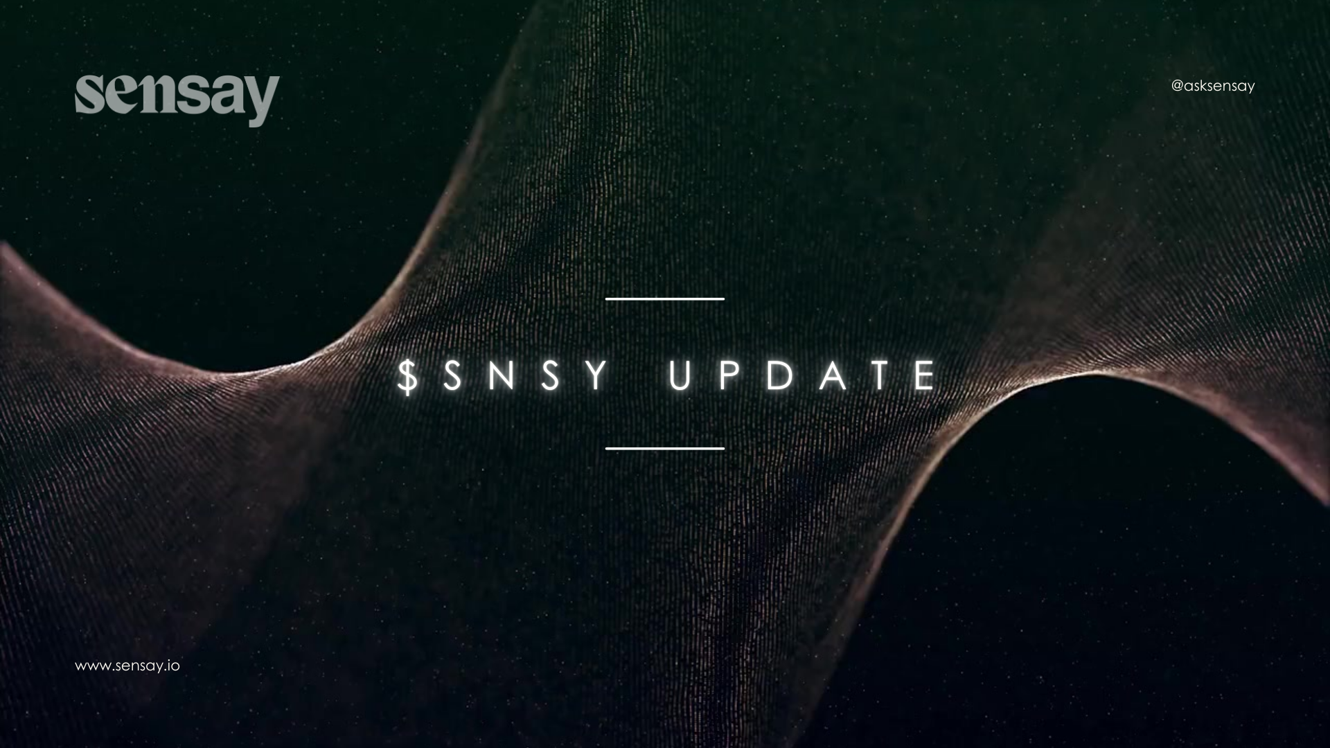 snsy-update